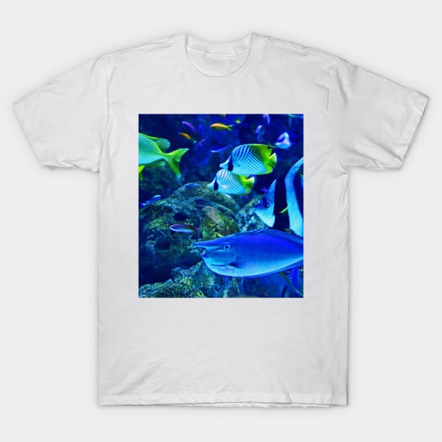 Ocean Life T-Shirt by NewburyBoutique